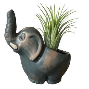 Mexico terracotta small elephant planter hand painted.